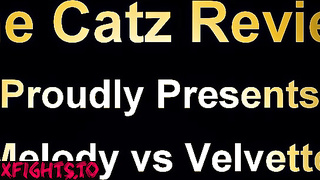 The Catz Review - Melody vs Velvette (Catzreview)