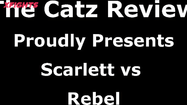 The Catz Review - Scarlett vs Rebel (Catzreview)