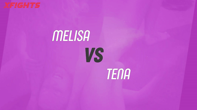 Fighting Dolls - FD4701 Melisa vs Tena