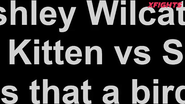 WMW Fetish Fun - Ashley Wildcat And Kathy Owens Vs Sin D - Threeway trouble