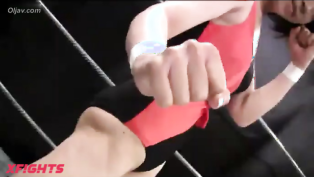 Akibacom - PBXM-02 Beauty against strenght - who will take a victory?