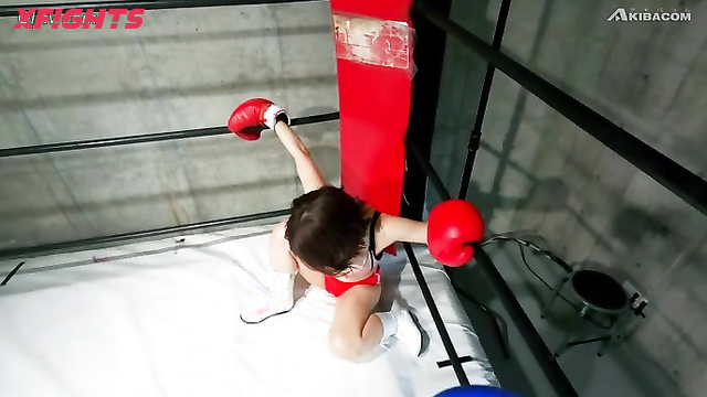 Akibacom - BX-63 BWP 07 Commemorative Special - Competitive boxing girls