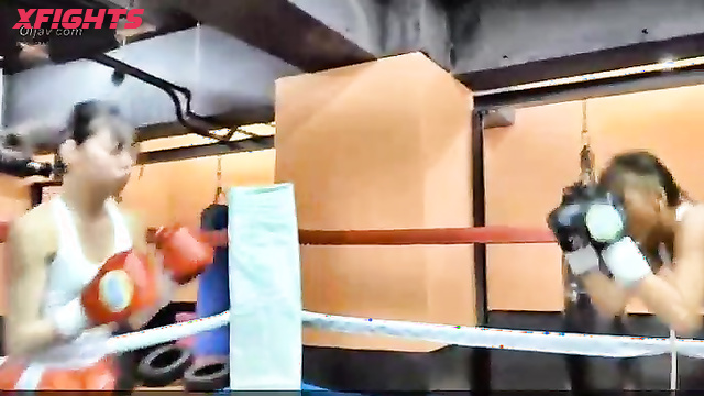 Akibacom - KCP-02 KO Never ending boxing match