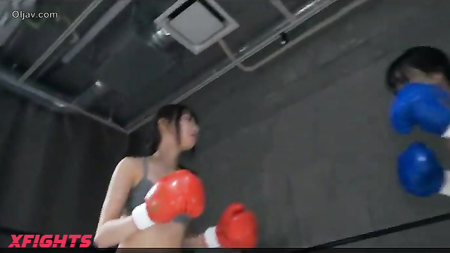 Akibacom - BCMC-05 Custom match BOXING 05
