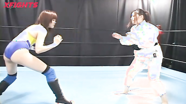 Akibacom - AID-01 The soul of different kinds of martial arts bouts No.1