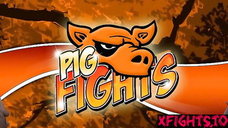 Pig Fights - Didi vs Holly