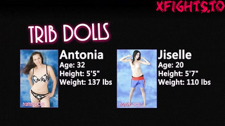 Trib Dolls - Antonia vs Jiselle Tribadism