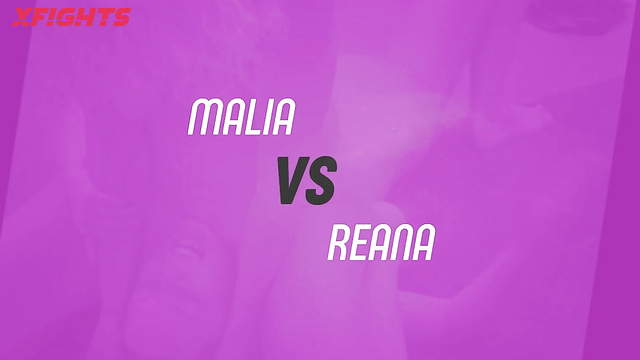 Fighting Dolls - FD5533 Malia vs Reana
